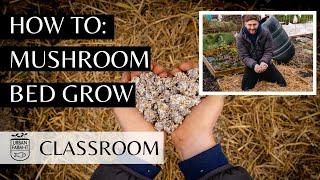 How To Setup A Mushrooms Bed For Outdoor Growing (Step by Step Guide) | Urban Farm -It's Classroom