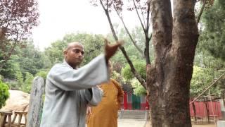 Shifu Kanishka Shaolin Temple India