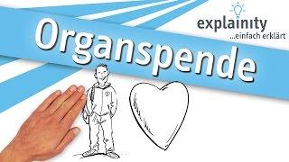 Organspende einfach erklärt (explainity® Erklärvideo)