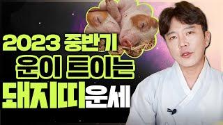 운이 트이는 2023년 중반기 돼지띠의 운세는? [서울용한무당 깨비도령]