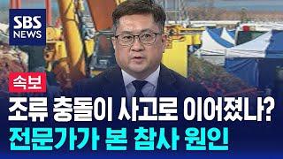 조류 충돌이 사고로 이어졌나?…전문가가 본 참사 원인 / SBS