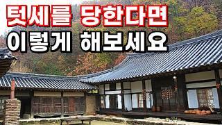 텃세를 당한다면 이렇게 해보세요! 시골 텃세 대응하는 방법 #텃세#시골텃세#마을텃세#귀촌텃세#귀농텃세#마을발전기금#귀농귀촌#시골부부#전원주택#시골집#시골살이#전원생활#청년농부