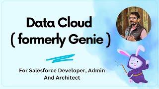 Salesforce Data Cloud ( formerly Genie ) for Admins and Developers