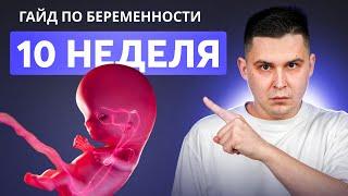 10 НЕДЕЛЯ БЕРЕМЕННОСТИ | Беременность по неделям с доктором Ченчак