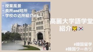 【韓国留学】高麗大学語学堂について！学校周辺も紹介️