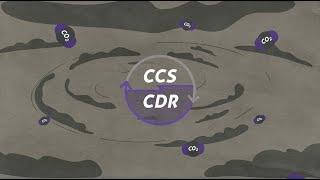 Carbon Dioxide Removal vs. Carbon Capture and Storage