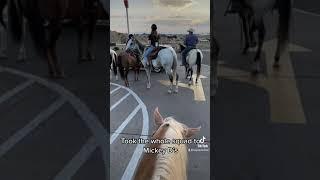 Riding horses to McDonald’s