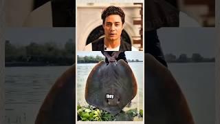 Why are stigrays released..#trending #facts #shorts #viral #reels #stingray