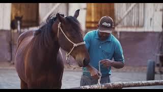 Documentário de 65 anos da Estância do Minuano.