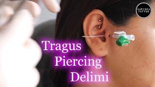 Tragus Piercing Delimi / Karınca Tattoo | How To Make Tragus Piercing