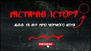 Містичні історії України | Львів та чорний кіт