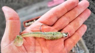 This SWIMBAIT lasted 3 Months! (Secret Rigging)