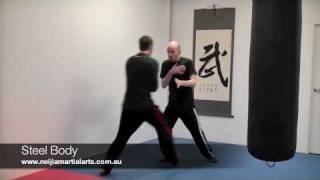 Explosive Internal Power - Neijia Martial Arts