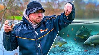 Underwater Truth: How Fast Do Fishing Baits Really Sink?