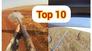 top 10 caçada de javali com calibre 12..