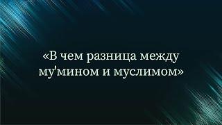 В чем разница между му'мином и муслимом? — Абу Ислам аш-Шаркаси