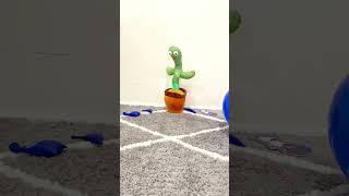 Cactus balloons  #shorts