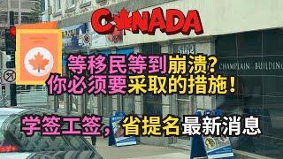 等移民等到崩溃？你必须要采取的措施！学签工签，省提名最新消息！｜加拿大移民2025｜新移民｜#S哥闖北美