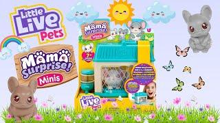 Little Live Pets Mama Surprise Minis: Lil Mouse Unboxing & Playthrough