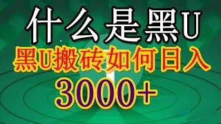 什么是黑u|黑usdt是什么|黑u怎么查|黑u如何出售购买，手机如何通过黑u赚钱项目