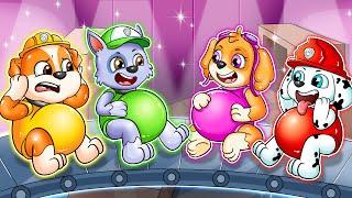 Brewing Cute Pregnat Cute Baby! - Baby Factory! - Paw Patrol Ultimate Rescue - Rainbow 3