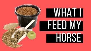 What I Feed My Horse - Monarch Wing Equestrian