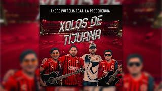 Andre Puffelis  - Xolos De Tijuana Feat.  La Procedencia Official (VIDEO OFICIAL)