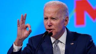 ‘Sounded like a drunk, incoherent mess’: Joe Biden goes ‘off the rails’ in MSNBC interview