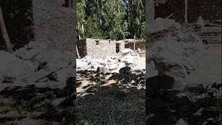 Hunza Valley Pakistan #hunza #hunzavalley #hunzavalleypakistan #shorts #short #viealshort #trending
