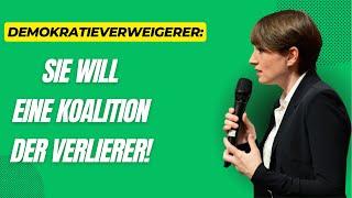 Grüne wollen Österreich weiter gegen die Wand fahren!