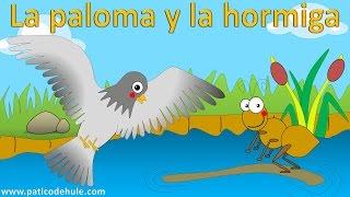 la hormiga y la paloma - fábula - cuentos con moraleja - cuentos con animales