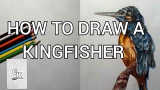 How to draw a kingfisher පිළිහිඩුවා #howtodraw #howtodrawwithcoloredpencils #speedpainting #birds