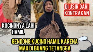 IBU INI SEDIH GEDONG KUCINGNYA YANG LAGI HAMIL KARENA MAU DI BUANG SAMA TETANGGA..!