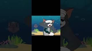Tom & Jerry Cartoon  01 