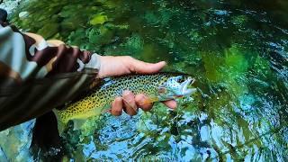 Camping in Smith River National Recreation Area and Fly Fishing for Coastal Cutthroat Trout