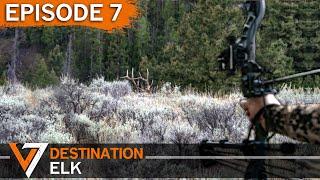 Tapping Out - Episode 7 (Destination Elk V7)