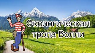 Занятие 19. Экологическая тропа Волли