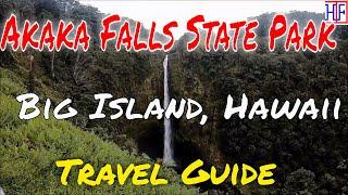 Akaka Falls State Park – Big Island, Hawaii (TRAVEL GUIDE) | Episode# 3