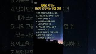 모르면 호구 되는 인생 진리#삶의지혜 #명언 #공감글귀 #마음공부