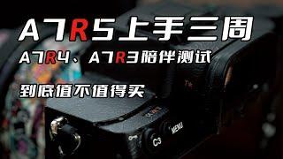 索尼A7R5对比A7R4，A7R3，上手三周体验总结「机道」No.190