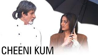 Cheeni Kum (2007) Bollywood Ki Jabardast Romantic Hindi Movie | Amitabh Bachchan, Tabu - Love Story