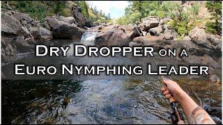 Fishing Dry Dropper on a Euro Nymphing Leader