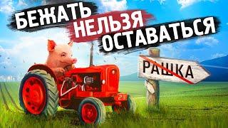 Стоит ли уезжать из страны