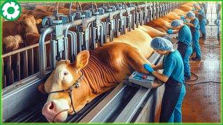 10,000+ Livestock Machines Revolutionizing U.S. Farming | Agriculture Technology