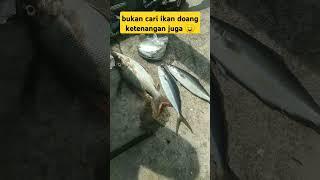 sutreeeek   #lombok #mancing #mancingmania #teluknare #fyp #friendship #weekendvibes