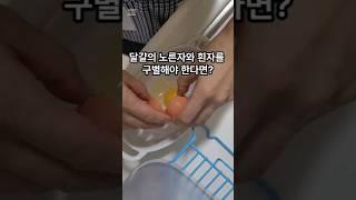 계란 노른자만 쏙쏙! 어떻게?