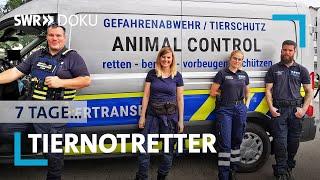 7 Tage... Tiernotretter | SWR Doku