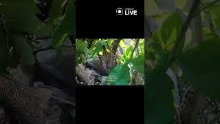 ‼️‼️‼️Отправьте сапера здесь что-то подозрительное