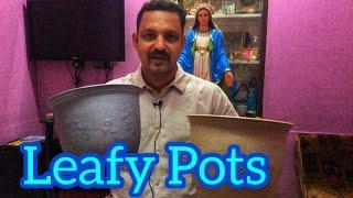 Leafy Pots | ഇതുവരെ കാണാത്ത പോട്ടുകൾ | A.R Agencies | Jobin Magic World