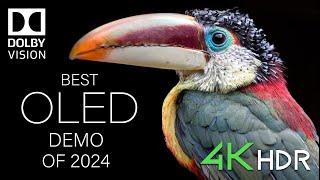 BEST OLED DEMO 2024! Dolby Vision 12K HDR 120fps - Mind-Blowing!